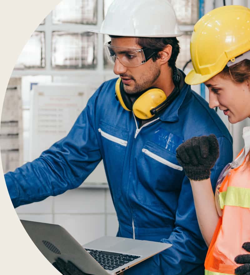 HOLT CAT testimonial